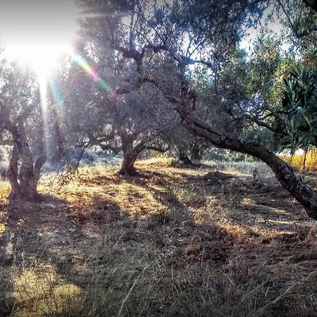 Mareva * Hersonissos (Crete)